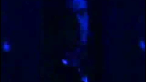 Edge Entrance Video (Octorber 2004 - August 2005)