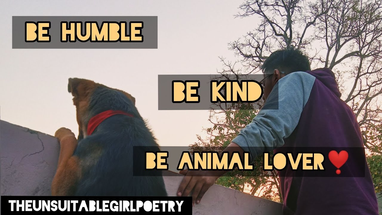 Stop cruelty save animals poetryAnimal loverThe Unsuitable Girl