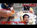 Tips/cara p*t*ng lidah jalak nias. suara kenceng bervariasi/bs ngomong