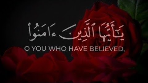 [يا ايها الذين امنوا توبوا الى الله توبة نصوحا ]🌿قرأن كريم فارس عباد سورة التحريم