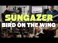 Sungazer - Bird on the Wing