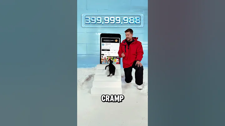 MrBeast Gained 400 Subs Thanks to a Penguin 🐧