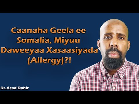 Allergies (Af Somali)