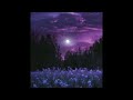 {{{586}}} [BEAT] idek 【𝔭𝔯𝔬𝔡 𝖕𝖚𝖗𝖕𝖗𝖎𝖔𝖙】