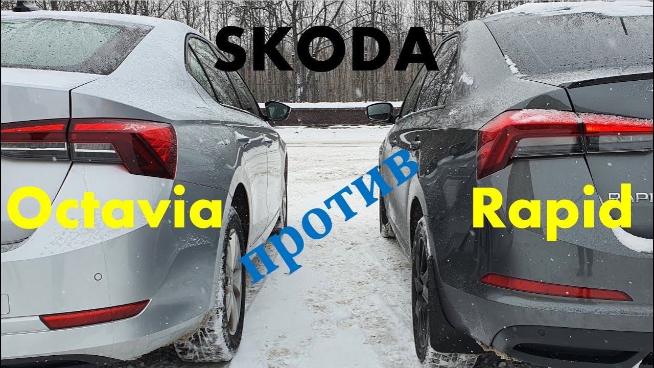 Skoda Rapid 2020 или Skoda Octavia 2021 Сравнение - YouTube