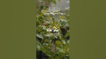 تلاوة هادئة تريح الأعصاب😴🎧 القارئ: هانى حسن سورة: الأحزاب 💙❤