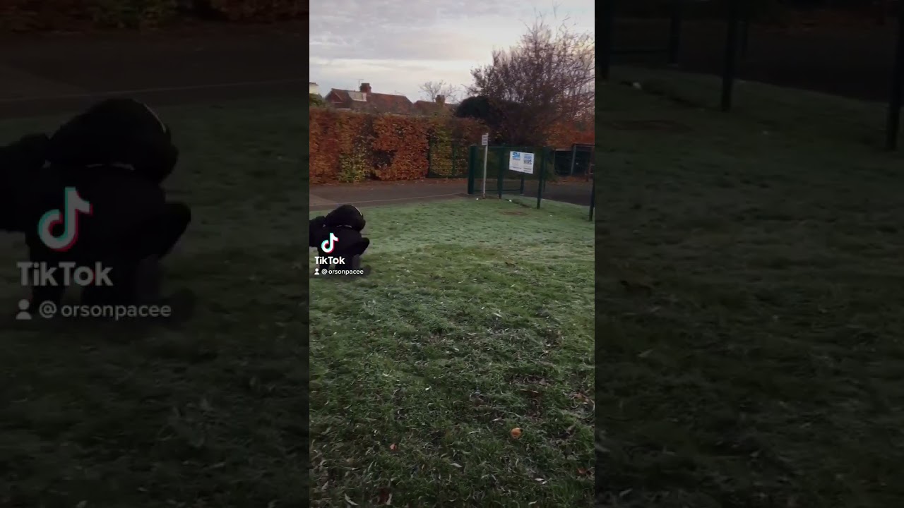 Helicopter meme kid knee slide fail Kneeslide