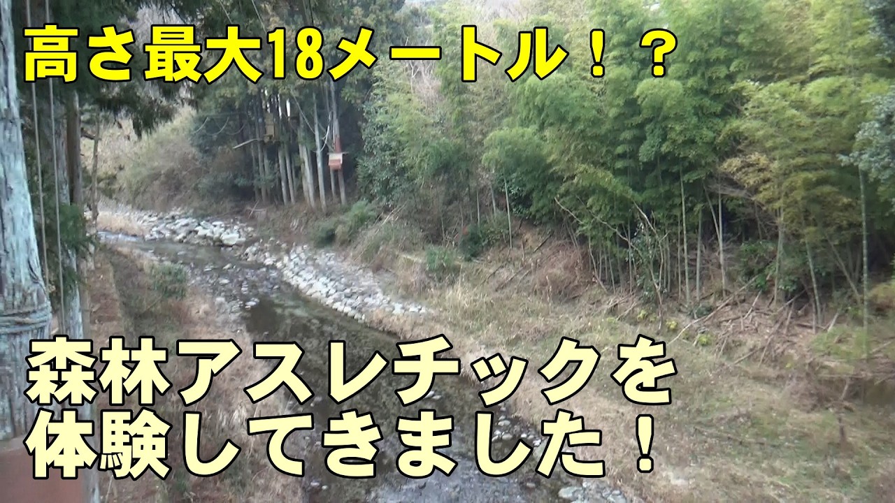 高さ最大18メートルのアスレチック体験が壮絶すぎた！