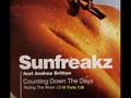 Sunfreakz  riding the wave jdm radio edit