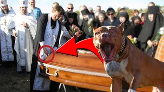 Dog Barks At Coffin At Funeral When Man Asks Why, Priest Gets Nervous And...