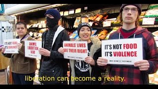 WATCH activists everywhere disrupt violence to make animal liberation a reality.