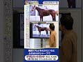 【2026年 フェブラリーＳ】チャンピオンズＣの覇者ダブルハートボンドの馬体診断　 #shorts #競馬 #予想