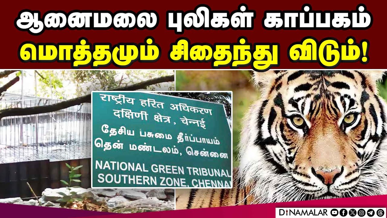 சிலந்தி ஆற்றில் தடுப்பணை; தீர்ப்பாயத்தில் தமிழகம் அறிக்கை | Check Dam ...