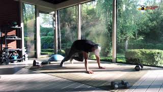 Bear crunches