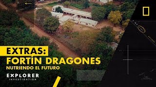 Nutriendo el Futuro: Fortín Dragones #ExplorerInvestigation