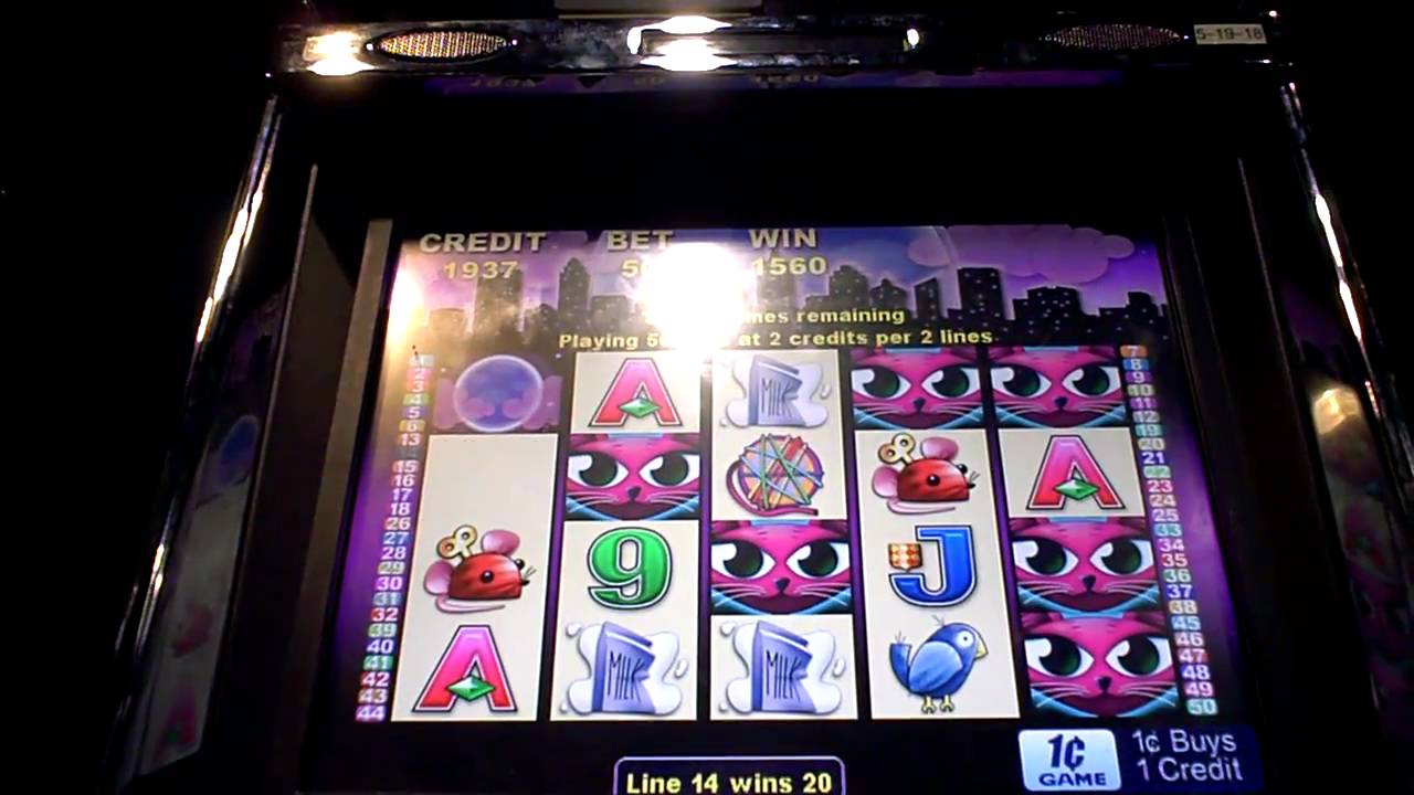 Slots gratis sem download Kitty Twins Slots gratis sem download Kitty Twins