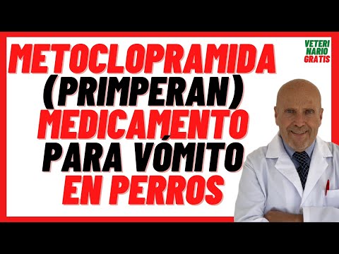 Video: Metoclopramida - Lista De Medicamentos Y Recetas Para Mascotas, Perros Y Gatos