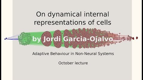 AdaBioSys lectures - On dynamical internal representations in cells