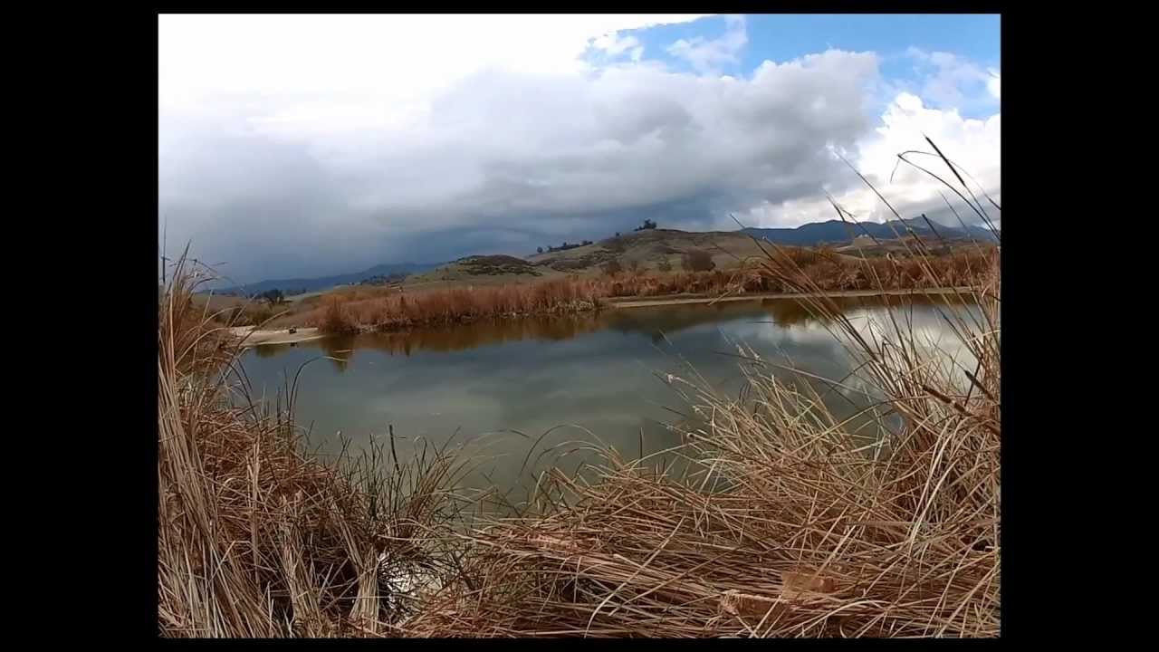New Inland Empire Creek Fishing Spot!