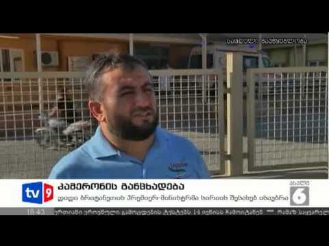 ახალი 6 | უცხოეთის ამბები | 11.08.12