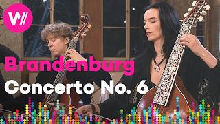 The Brandenburg Concertos | No. 6 in B-flat Major, BWV 1051| Remastered (Freiburg Baroque Orchestra)