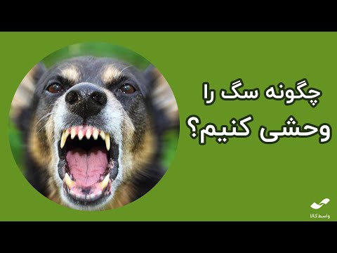 تصویری: نحوه پرورش گرگ: 13 مرحله (همراه با تصاویر)