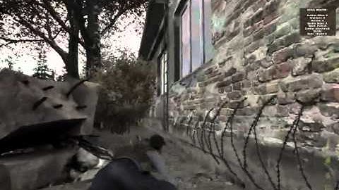 DayZ Graphics Glitch