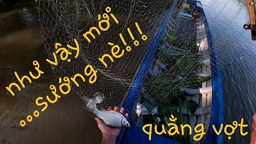 Trúng cá dạo nước mới lớn nhưng lại là ngày vớt cá tồi tệ : Phần 1  | Săn bắt SÓC TRĂNG |