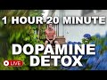 [Dopamine Detox] Do nothing for 1 hr 20 min
