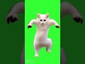 Una Gatto рџђ Che Balla Una Gatto рџђ Che Balla
