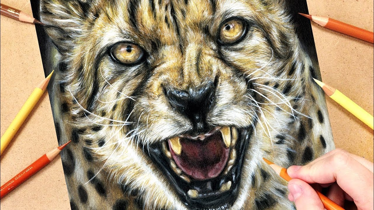 How to Draw a Cheetah using Coloured Pencils | Realistic Animal Drawing Tutorial - YouTube