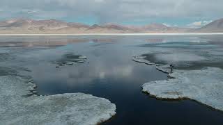 Salar Del Huasco