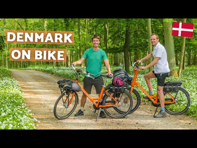 Travel vlog - Denmark's hidden places | Cycling through the countryside around Roskilde