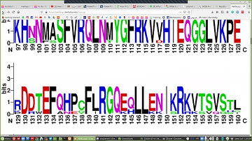 Bioinformatic بالعربي / Multiple Sequence Alignment 6