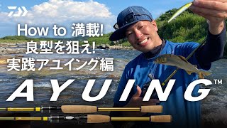 How to満載！ 良型を狙え！【アユイング実践編】