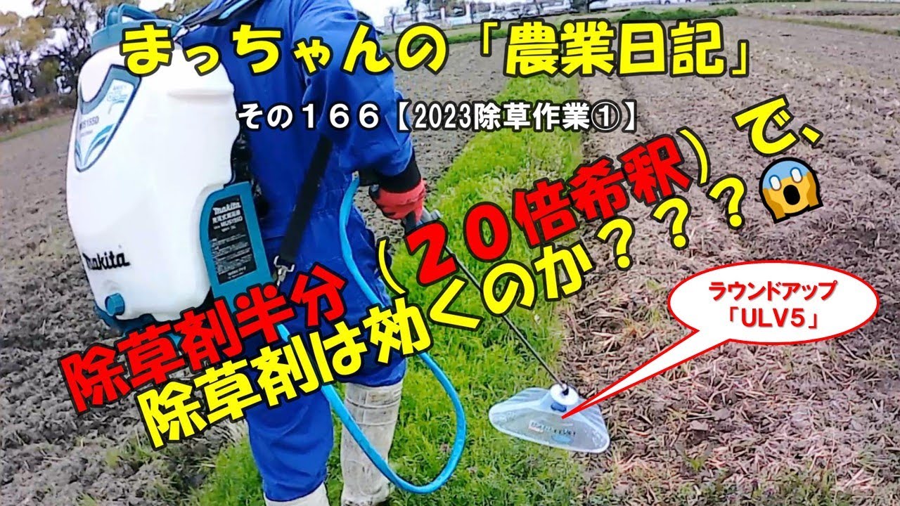 除草作業 その166【2023除草作業①】除草剤半分（20倍希釈）で、除草剤は
