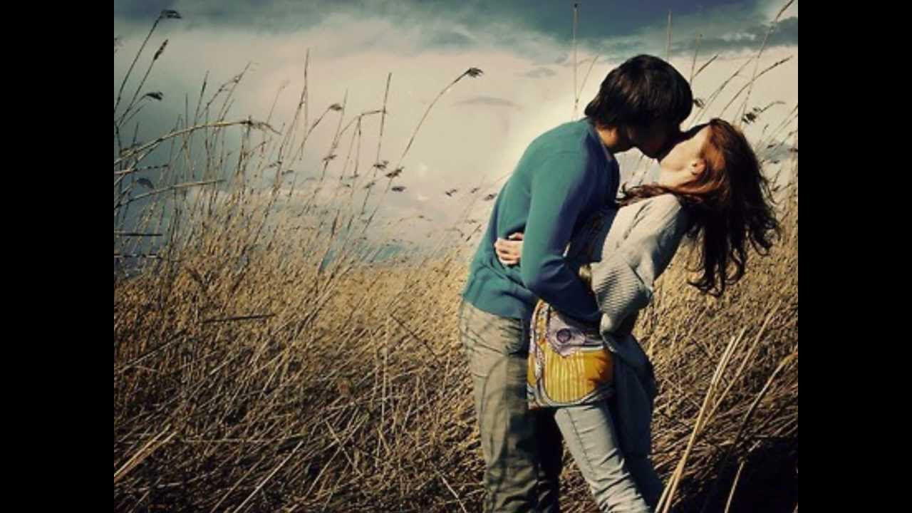 Mia - Gatto Panceri - YouTube