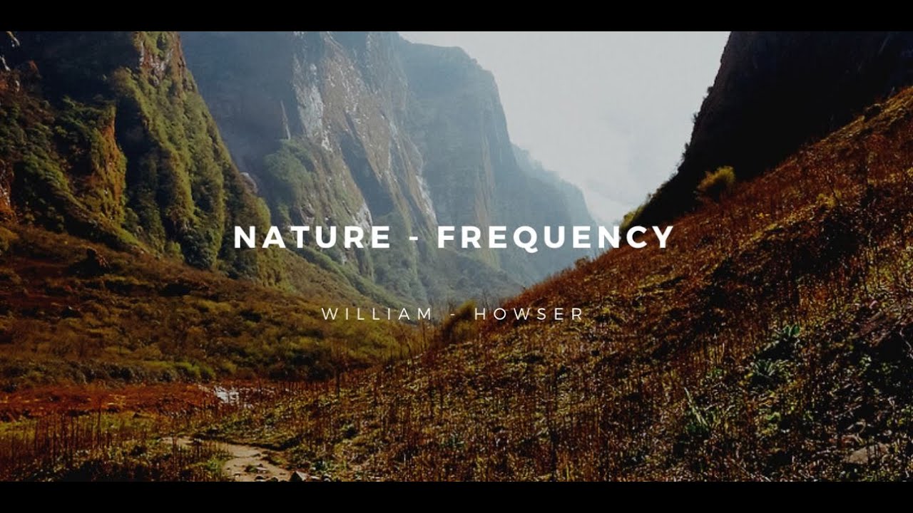 NATURE FREQUENCY YouTube