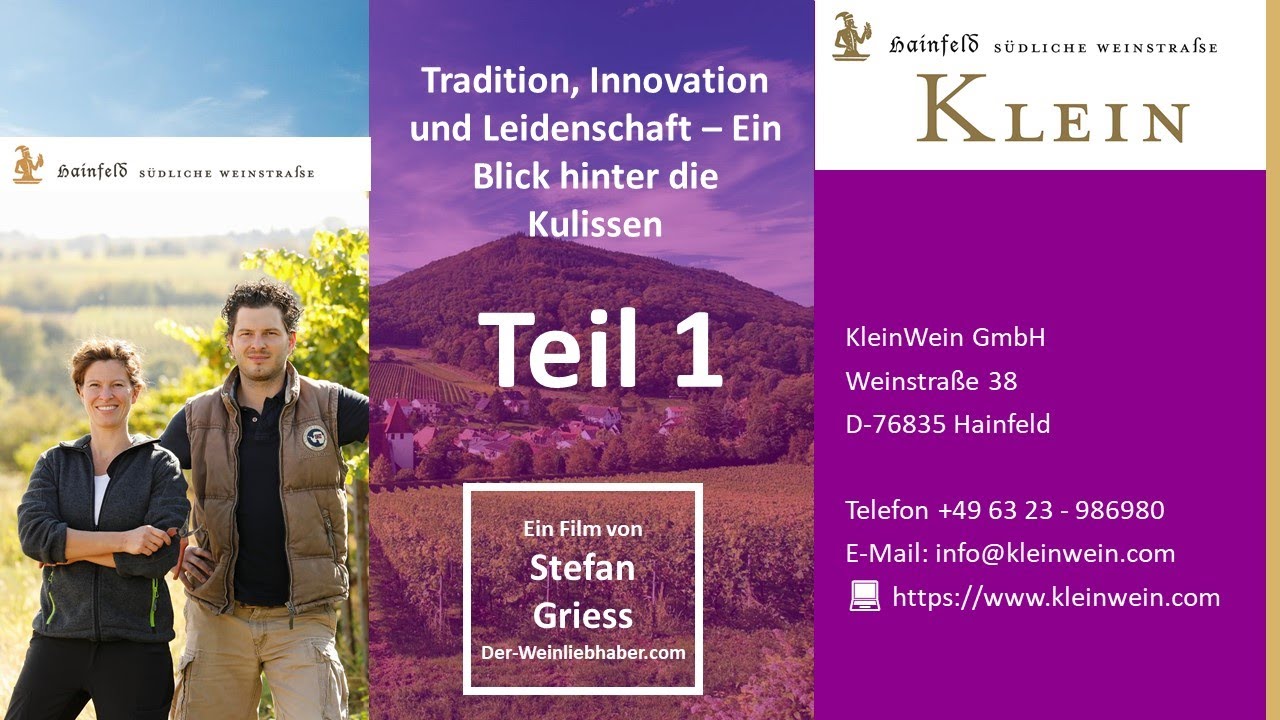 Weingut Klein in Hainfeld: Tradition, Innovation und Leidenschaft – Ein Blick hinter die Kulissen