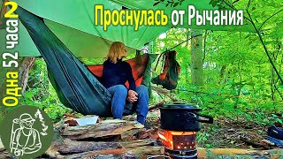 🪓 Одна 52 Часа В Лесу С Гамаком 🔥 Проснулась От Рычания 🦝 Еноты Окружили  ► Серия 2