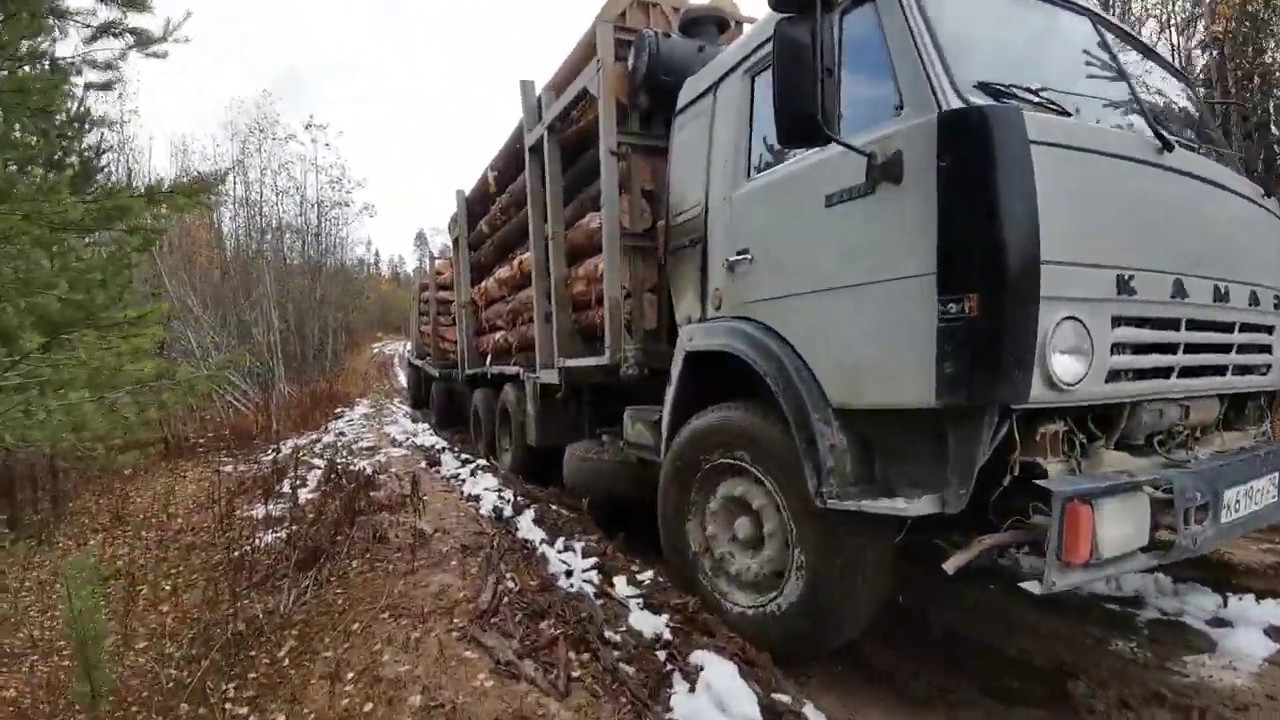 Многотонный зверь выберается из леса!!! - YouTube