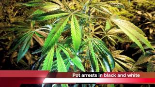 Gordon County GA - Worst place to be for blacks with pot