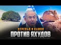 Когда деревья и камни ЗАГОВОРЯТ ПРОТИВ ЯХУДОВ