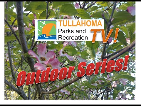 Tullahoma Parks & Rec Outdoor Series - Ep.3: Travel and Camp on Durable Surfaces