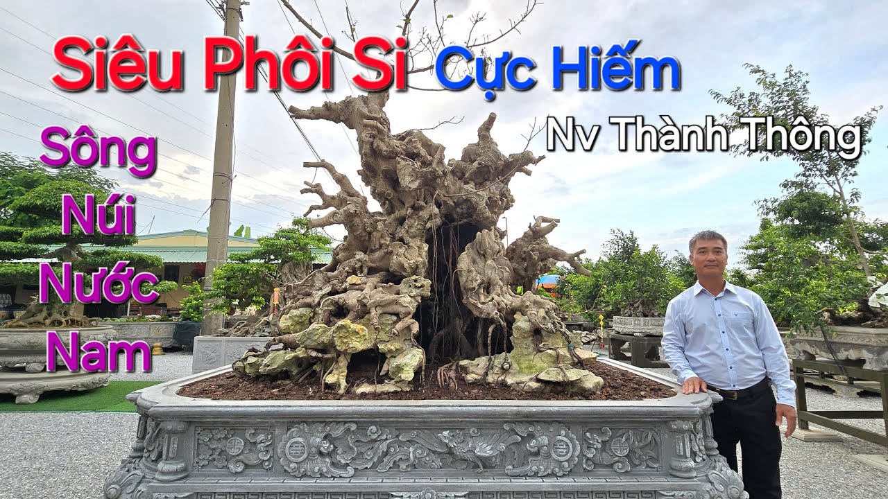 Tin Hót ! Quá trình sở hữu SIÊU PHÔI SI và Ý TƯỞNG XÂY DỰNG TP SÔNG NÚI NƯỚC NAM của anh THÀNH MAY .