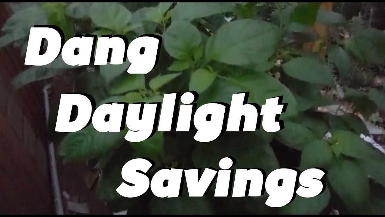 watershed Dang Daylight Savings!!: Super Hot Peppers