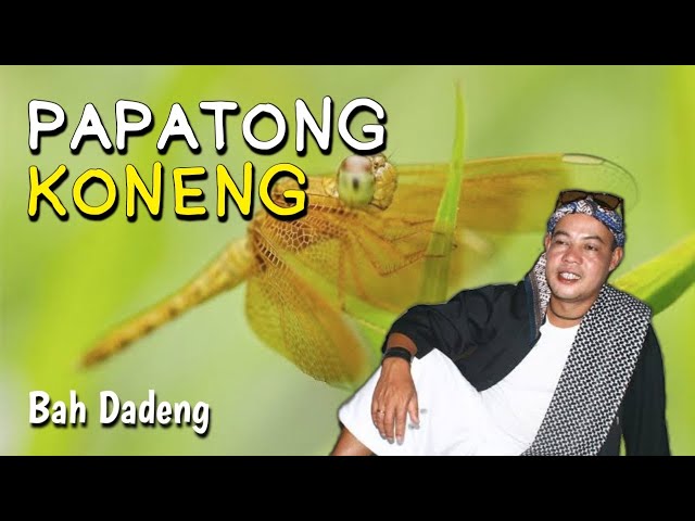 Papatong Koneng | Bah Dadeng class=