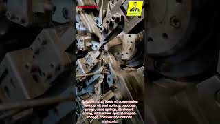 RNJ316 Multiple Axes CNC Spring Compression Machine.