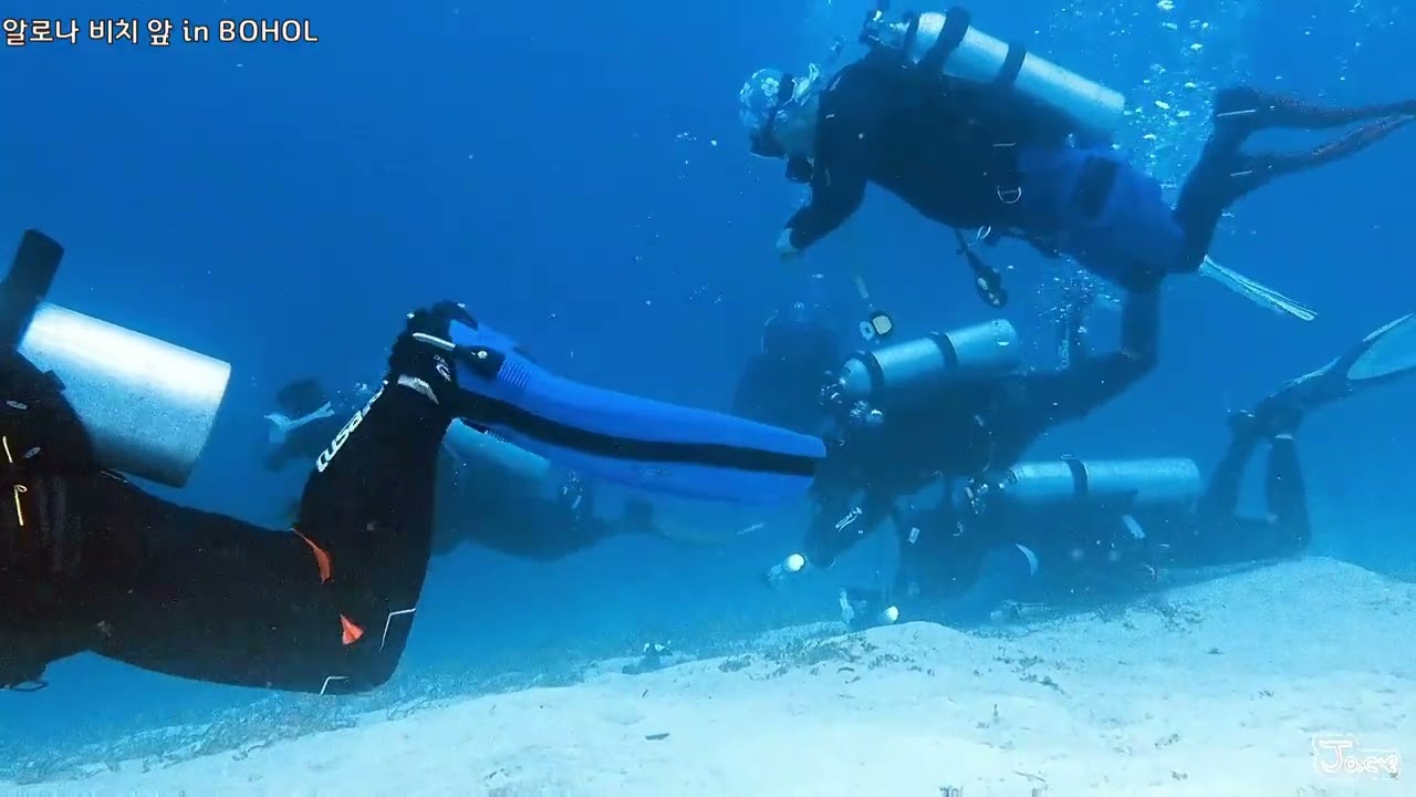 알로나비치 in BOHOL