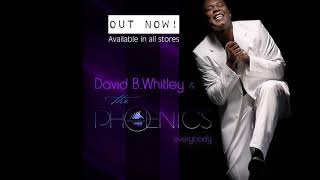 David B. Whitley & The Phoenics - Everybody